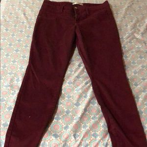 Jeans , Cardinal red